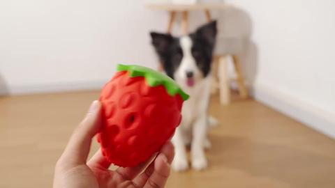 New Arrival Wholesale Pitaya Pet Toy Triangle Dog Activity Strawberry Fruit Food Leaky Food Toy