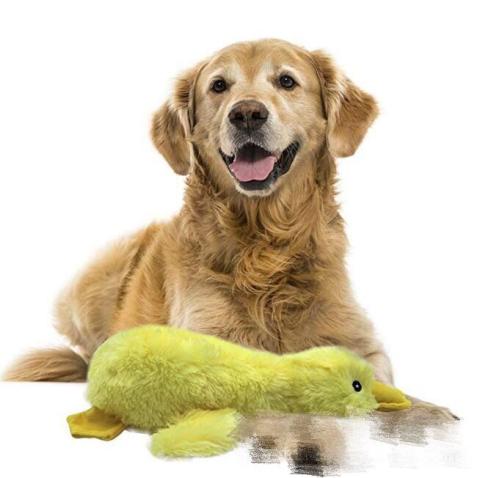 Eco-friendly Stocked Pet Supplies Dog Plush Toys Teasing Boring Sound Pet Cat Dog Toys