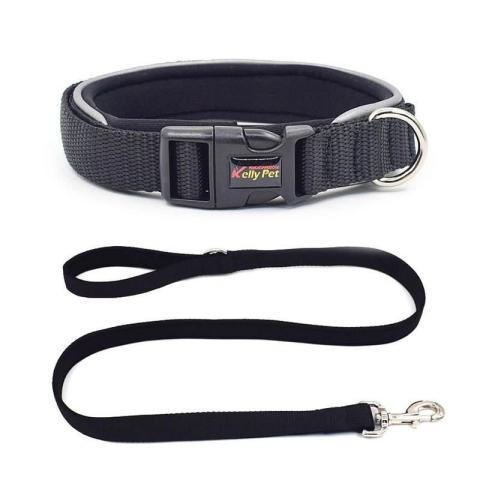 Thick Material Dog Designer Collar And Leash Set With Quick Release Buckle Adjustable Dog Collars Reflective Dog Leash