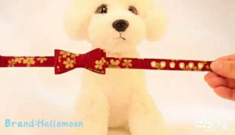 Wholesale Fashion Design Japanese Luxury Soft Pet Bandana Dog Collar Set With Leash