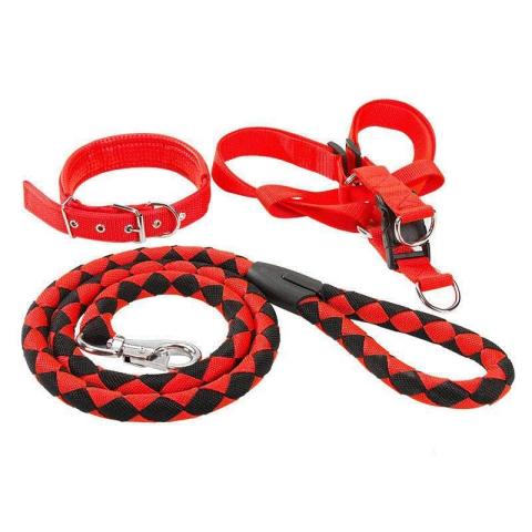 Pet Walking Running Training Outdoor Leopard Leash Harness Control Dog Collar Set