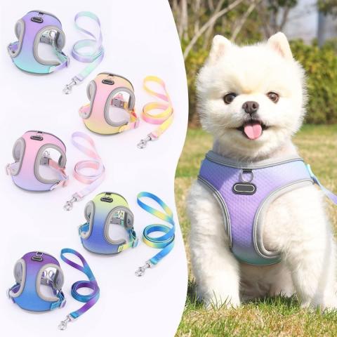 Hot Sale Outdoor Wholesale Custom Logo Private Label Personalized Dog Harness