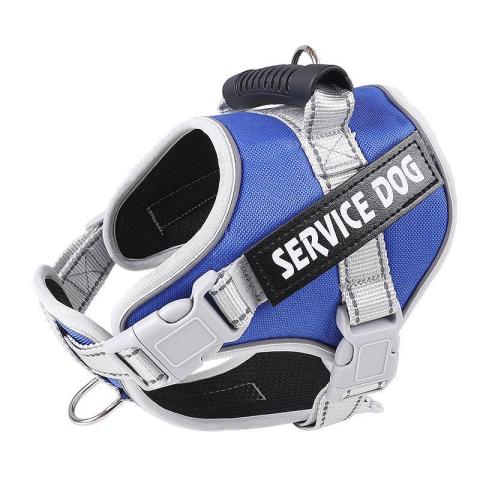 Reflective Safety Personality Walking Custom Logo Dog Leash And Harness