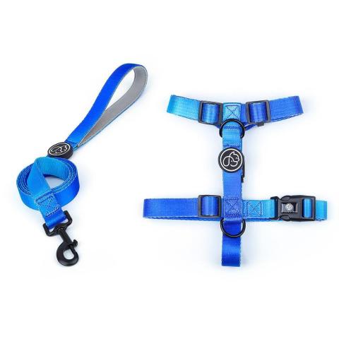 Small Dog Large Dog Walking Gradient Color Dog Chain Chest Strap Pet Supplier
