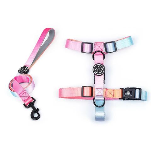 Small Dog Large Dog Walking Gradient Color Dog Chain Chest Strap Pet Supplier