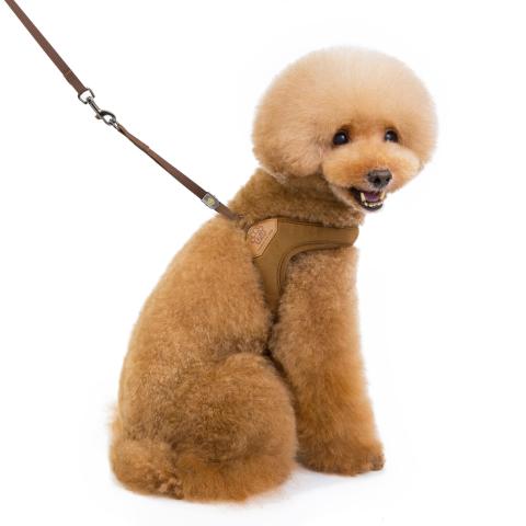 Small Designer Chest Adjustable Mesh Pet Vest Dog Harness
