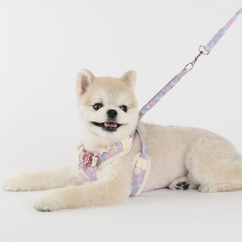 2022 New Pet Lead Rope Chest Strap Dog Rope Harness For Teddy Small And Medium Pets