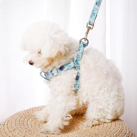 Custom Dog Accessories Nylon Pet Collar And Leash Wholesale With Good Price