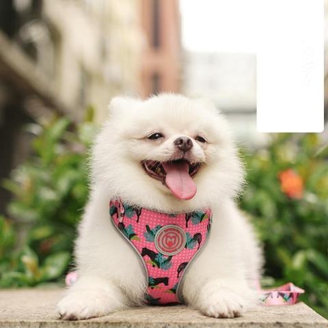 Customizable High Quality Personalized Dog Harness For Luxury Dog Made In China