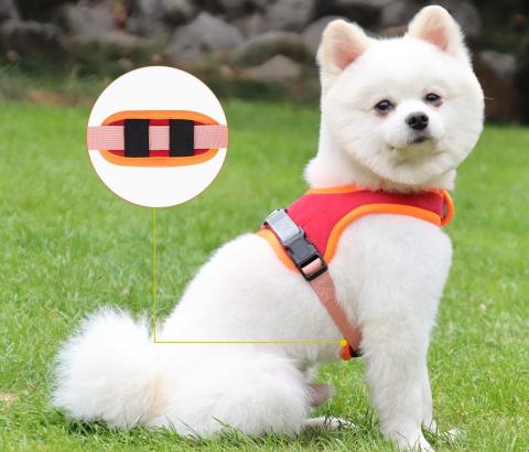 Popular Luxury Designer Dog Harness For Online Shopping With Cheap Price Made In China