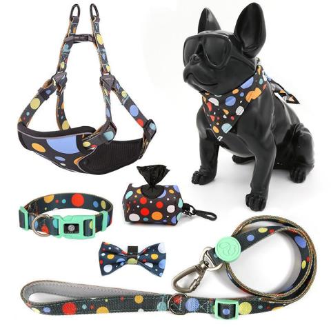 Collar And Leash Set Soft Padded Mesh Vest Harness No Pull For Puppy Custom Dog Harness Set