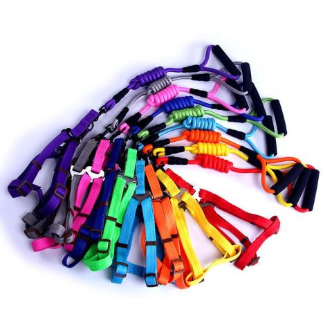 2022 Wholesale Pet Dog Harness Foam Handle Round Rope Traction Rope Pet Carrier Lead Dog Harness