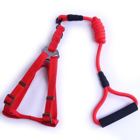 2022 Wholesale Pet Dog Harness Foam Handle Round Rope Traction Rope Pet Carrier Lead Dog Harness