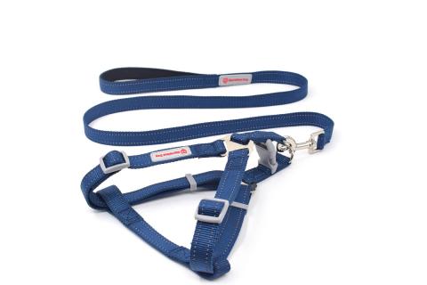 Wholesale Dog Leads And Collars Factory Direct Sell Dog Collar And Leash Set In Bulk