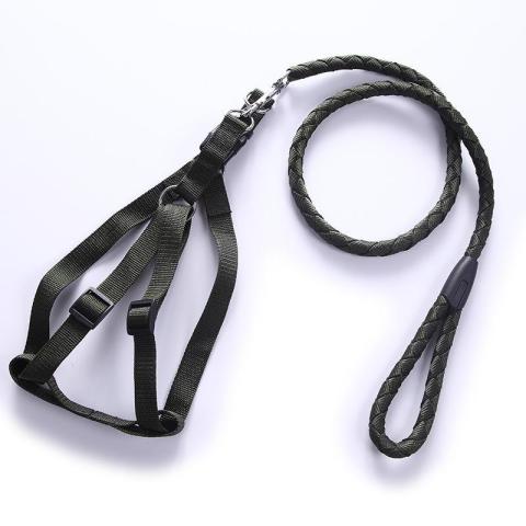 Comfortable Foam Padded Handle Climbing Pet Rope Leash Adjustable Harness Pet Dog Harness Leash Set