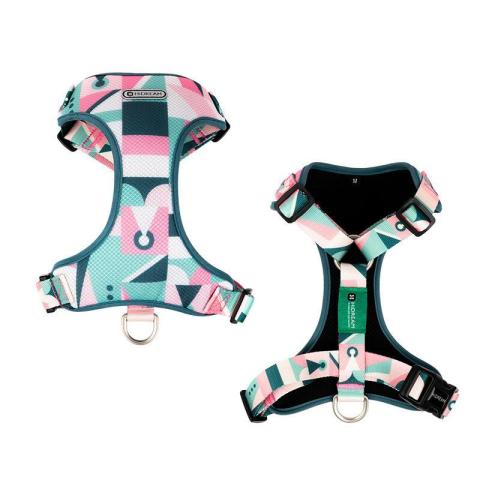 In Style Popular Colorful Adjustable Dog Harness Set With Collar Leash Harness