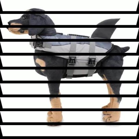 Pet Dog Swimsuit Life Jacket Wholesale And Retail Dog Swimsuit Drop Shipping Dog Clothes
