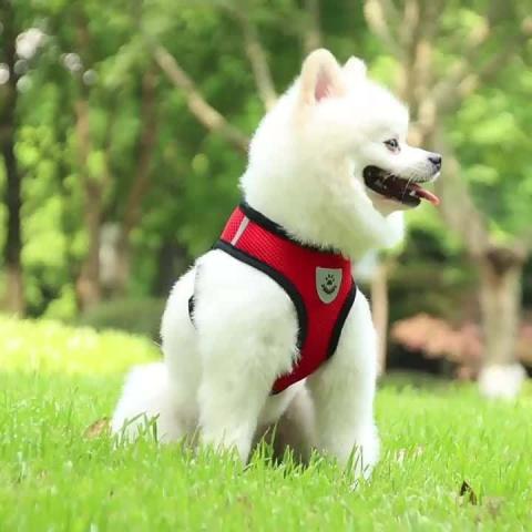New Soft Breathable Air Nylon Mesh Pet Harness And Leash Set