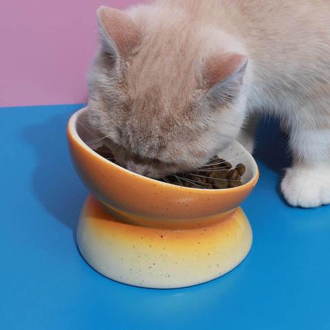 Pet Gradient High Feet 15 Degree Cat Bowl Ceramic Anti Spill Wholesale Dogs Food Bowl