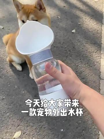 Outdoor Dog Water Bottle Pet Bowls Feeders For Pets Outdoor Walking