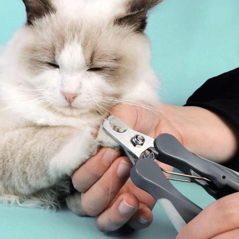Nail Pet Clippers Dog Claw Cat Stainless Steel Labor-saving Nail Clippers Convenient Beauty Cleaning Supplies Wholesale