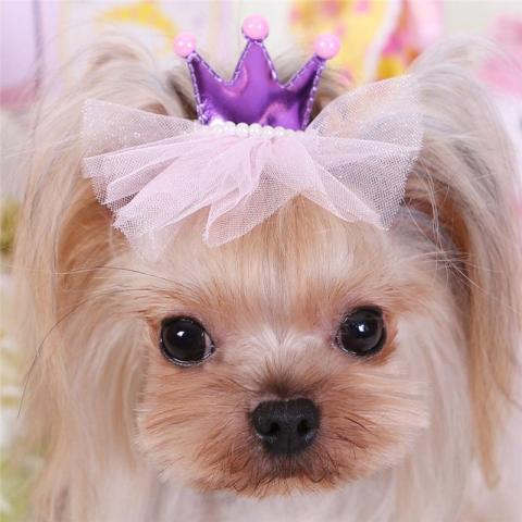 Decorative Hair Clips Small Dog Grooming Girl Hairpins Cute Bow Crown Pet Hairclip