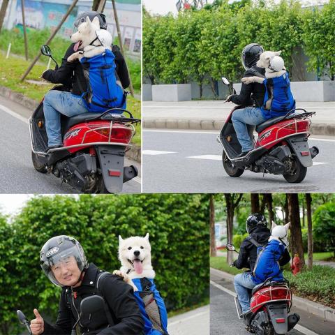 Wholesale Cheap Price Large Breathe Freely Outdoor Washable Pet Dog Bag For Shopping