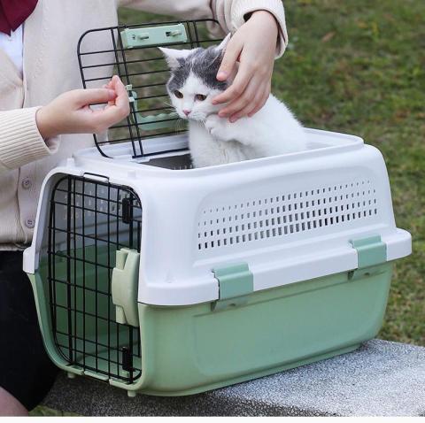 Air Box Portable Outing Pet Travel Consignment Box Big Space Portable Traveling Pp Pet Cages For Dogs