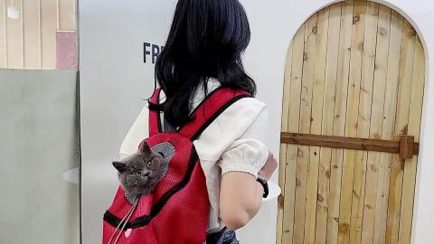 Breathable Outdoor Portable Travel Bag Holder Saddle Hiking Pet Carrier Dog Backpack