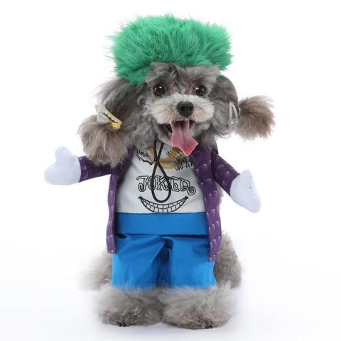 Funny Pet Cosplay Clothes Dog Costumes Halloween Winter Cloak For Dog
