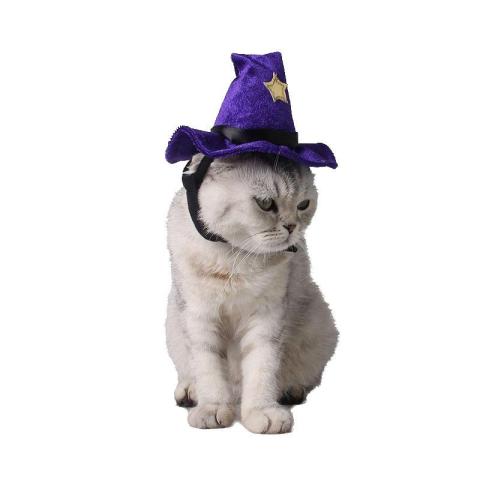 Halloween Purple Cat Party Accessories Can Adjust The European And American Cross Dressing Pet Cat Hat