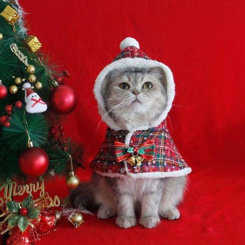 Christmas Pet Cloth 2023 Fashion Adjustable Christmas Pet Clothes High Quality Cheap Dog Cape With Best Quality
