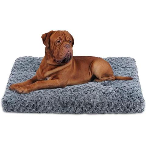 Dog Bed Medium Plush Memory Foam Dog Beds Hypoallergenic Dog Bed