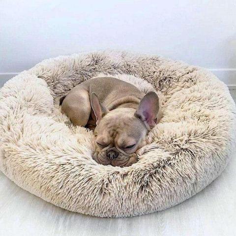 Wholesale Portable Soft Washable Luxury Foldable Round Puppy Washable Pet Sofa Dog Beds Luxury