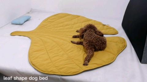 pet Special Design Large Size Soft Comfortable Leaf Shape Pet Dog Mat
