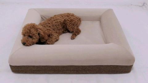pet Memory Foam Dog Bed Durable Orthopedic Dog Memory Foam Bed