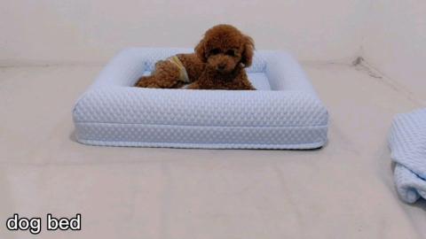 pet Cooling Fabric Special Design Blue Summer Orthopedic Dog Bed With Extra Sheet