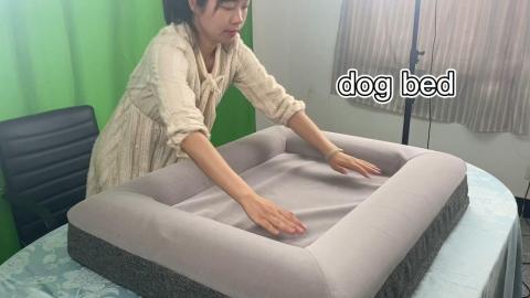Dog Pet Bed Dog Bed Orthopedic Memory Foam Custom Fabric Dog Bed
