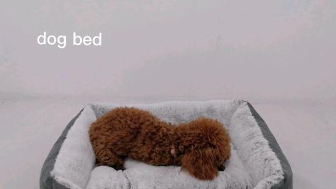 pet Square Soft Grey Dog Pet Bed